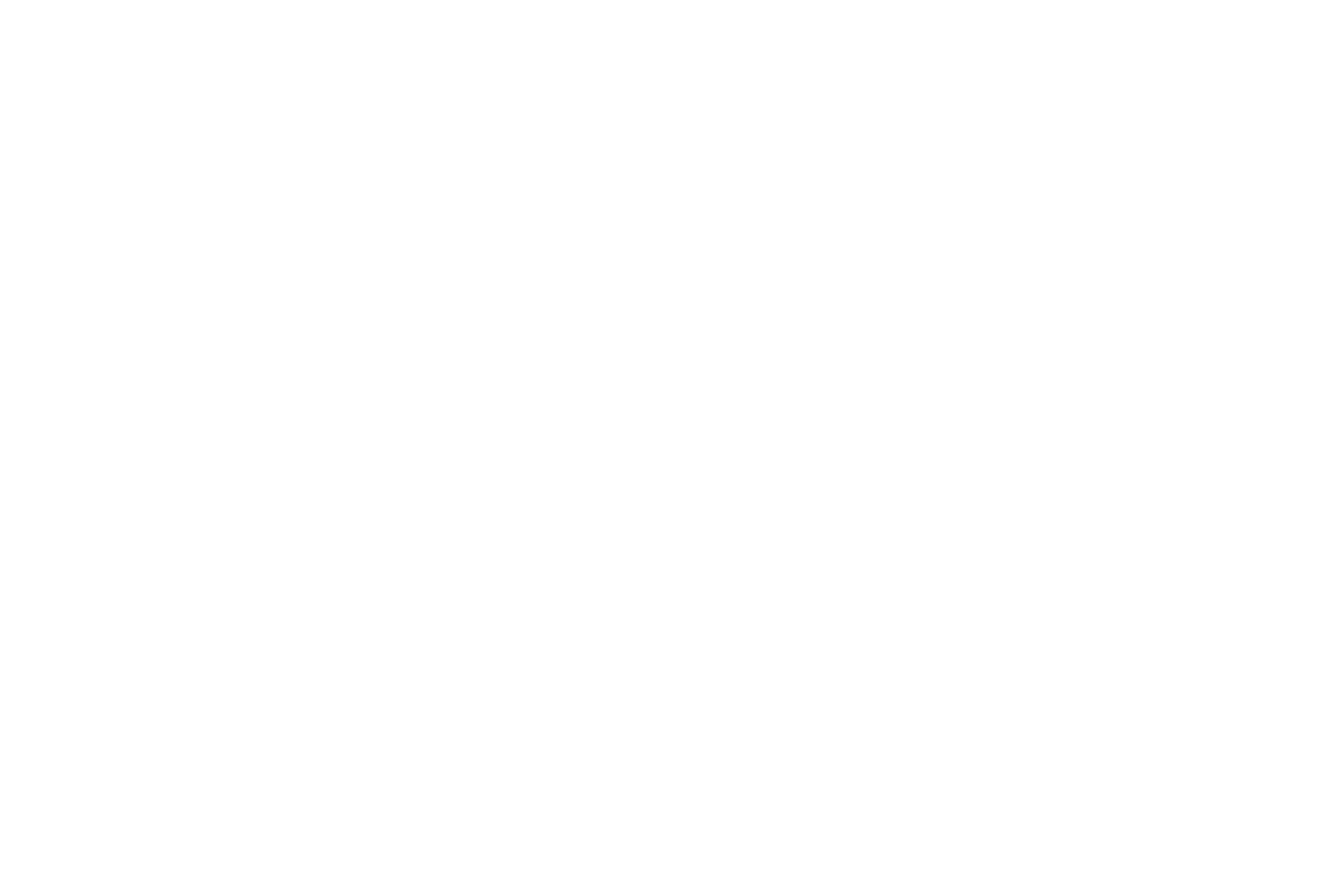 Capitalcity Logo White Cropped